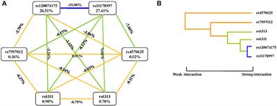 The Interaction of TPH2 and 5-HT2A Polymorphisms on Major Depressive Disorder Susceptibility in a Chinese Han Population: A Case-Control Study